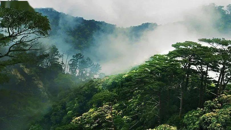 云南举行深切哀悼镇雄山体滑坡灾害遇难同胞仪式